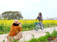 长江大学油菜花海绽放 市民打卡享春日美好时光