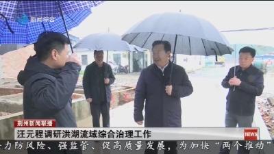 汪元程调研洪湖流域综合治理工作