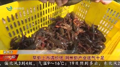 早虾上市遇价低   荆州虾产业底气十足