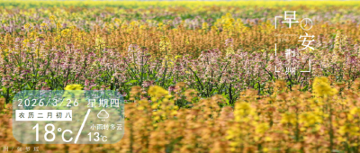 早安·荆州丨重磅方案！荆州公开征求意见