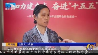 新闻特写 :  一位人大代表的乡土心声