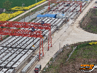 二广高速3标段成片的梁板完成安装