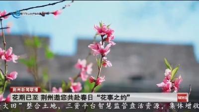 花期已至 荆州邀您共赴春日“花事之约”