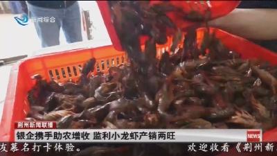 银企携手助农增收   监利小龙虾产销两旺