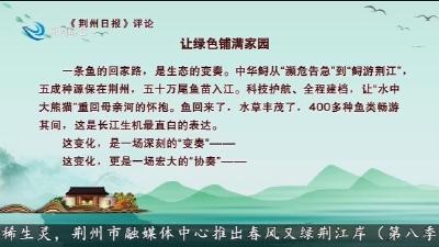 《荆州日报》评论 让绿色铺满家园