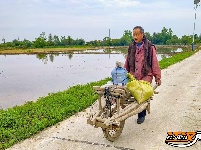 公安县鸡鸣城遗址：一幅幅忙碌的春耕图景入画来