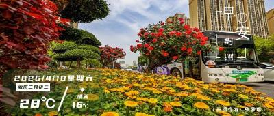 早安·荆州丨“金凤腾飞”！荆州这项目10月建成