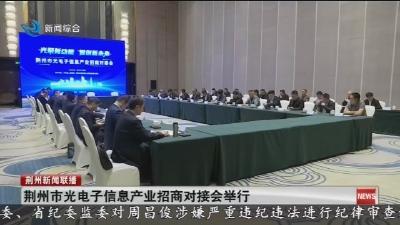 荆州市光电子信息产业招商对接会举行