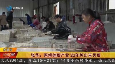 张华: 深耕莲藕产业23年种出富民藕