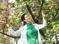 图集｜文湖公园的樱花雨后芳香迷人 天气晴好市民赏花拍照要抓紧