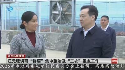 汪元程调研 “群腐” 集中整治及 “三农” 重点工作