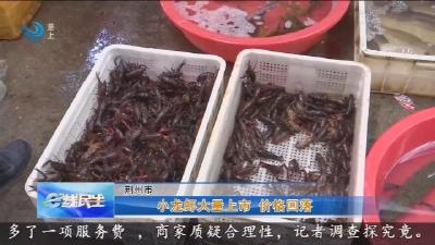 小龙虾大量上市    价格回落