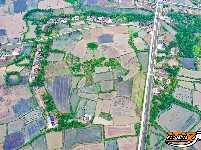 公安县鸡鸣城遗址：一幅幅忙碌的春耕图景入画来