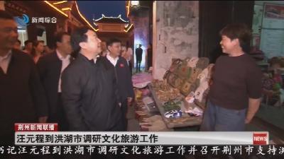 汪元程到洪湖市调研文化旅游工作
