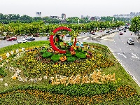 满城花海！荆州古城盛装迎五一