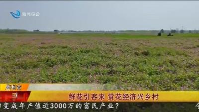 鲜花引客来 赏花经济兴乡村
