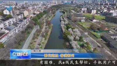 繁花竞放 春满荆州