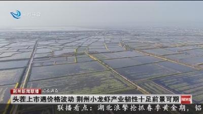 头茬上市遇价格波动 荆州小龙虾产业韧性十足前景可期