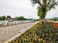 满城花海！荆州古城盛装迎五一