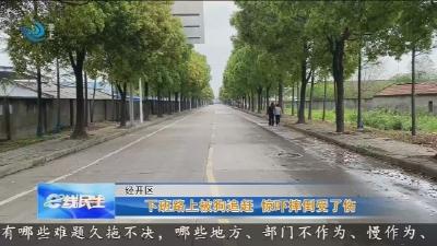 下班路上被狗追赶 惊吓摔倒受了伤