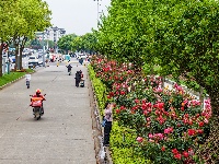 满城花海！荆州古城盛装迎五一