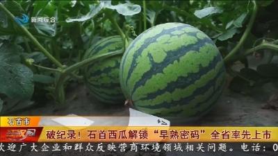 破纪录 !   石首西瓜解锁 “早熟密码” 全省率先上市