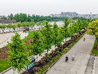 满城花海！荆州古城盛装迎五一