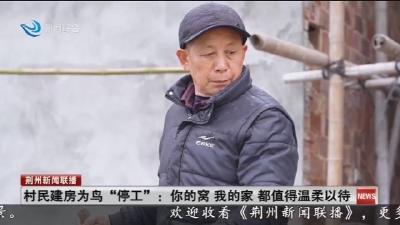 村民建房为鸟“停工”:你的窝 我的家 都值得温柔以待
