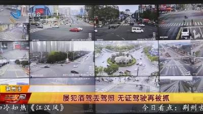 屡犯酒驾丢驾照 无证驾驶再被抓