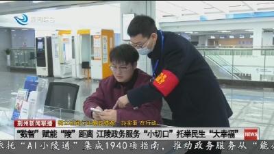 “数智” 赋能 “陵” 距离  江陵政务服务 “小切口” 托举民生 “大幸福"
