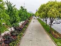 满城花海！荆州古城盛装迎五一