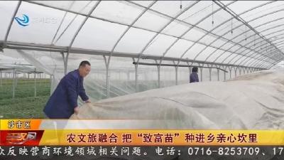 农文旅融合 把“致富苗”种进乡亲心坎里