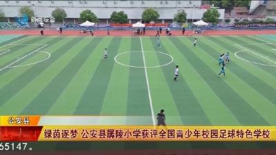绿茵逐梦 公安县孱陵小学获评全国青少年校园足球特色学校