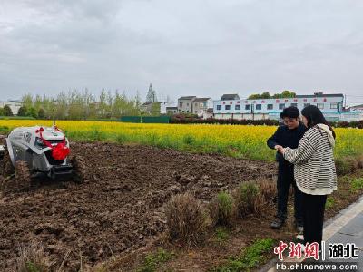 中新网｜湖北荆州：三位“00后”新农人的春耕故事