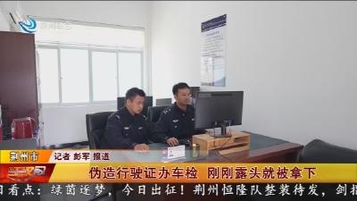 伪造行驶证办车检 刚刚露头就被拿下