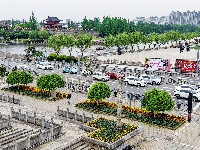 满城花海！荆州古城盛装迎五一