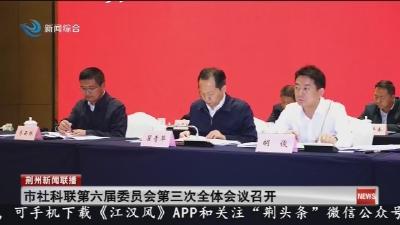 市社科联第六届委员会第三次全体会议召开
