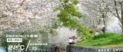 早安·荆州丨坚决拥护省委对吴锦的处理