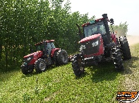 江陵铁牛矶荆江大堤动用拖拉机“美容”