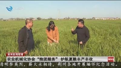 农业机械化协会 “抱团服务”   护航夏粮丰产丰收