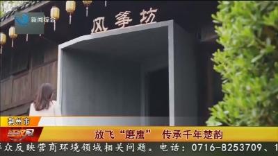 放飞“磨鹰” 传承千年楚韵