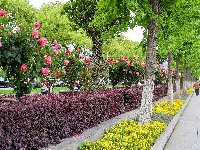 满城花海！荆州古城盛装迎五一