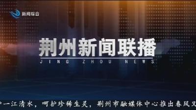 荆州新闻联播 2026-04-25