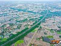 公安县鸡鸣城遗址：一幅幅忙碌的春耕图景入画来