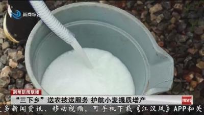 “三下乡”送农技送服务 护航小麦提质增产