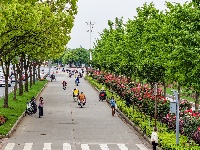 满城花海！荆州古城盛装迎五一