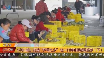 小河口镇 :   打造 “芦苇之乡” 让一口鲜味撑起致富梦 (下)