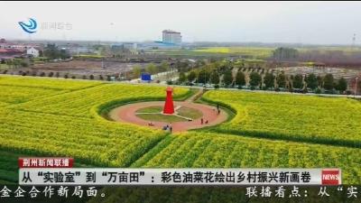 从 “实验室” 到 “万亩田” :  彩色油菜花绘出乡村振兴新画卷