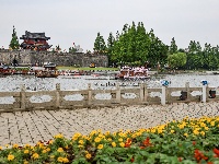 满城花海！荆州古城盛装迎五一