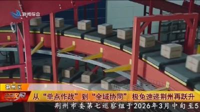 从 “单点作战” 到 “全域协同” 极兔速递荆州再跃升